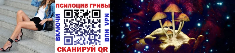 Купить закладки  Осинники  Псилоцибиновые грибы мицелий 